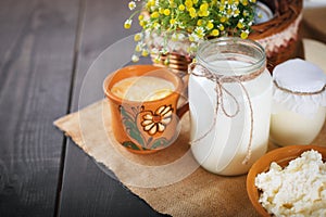 Assorted dairy products milk, yogurt, cottage cheese, sour cream. Rustic still life.