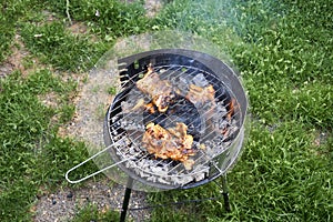 Assorted delicious grilled meat over the coals on barbecue