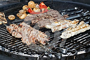 Assorted delicious grilled meat with vegetable over the coals on a barbecue