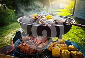 Assorted delicious grilled meat and vegetables over coal barbecue grill in sunny green garden