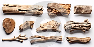 Assorted driftwood on white backdrop. Standalone. Clipped