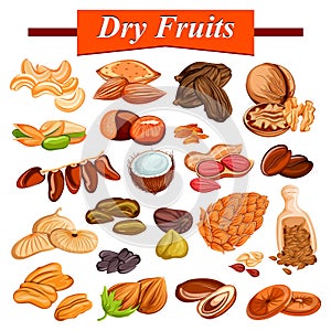 Assorted dry fruit set including cashewnut, almond,raisin,fig and nuts