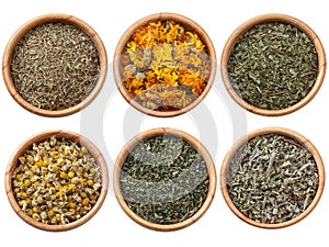 Assorted dry herbs and spices