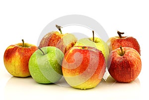 Assorted Dutch apple cultivars