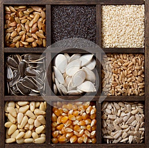 Assorted edible seeds arranged in a box