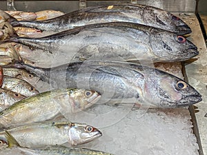 Assorted fish frozen on ice at seafood stall in supermarket