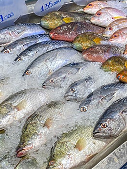 Assorted of fish in good arrangement selling at supermarket