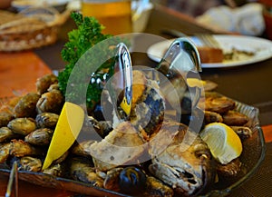 Assorted fish in the sea restaurant.