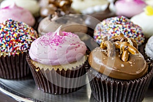 Assorted Flavors of Cupcake on Display