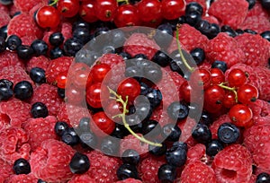 Assorted fresh berries