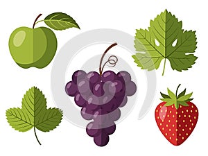Assorted Fresh Fruits and Leaves - Flat Design