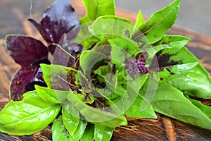 Assorted fresh herbs basil in green and purple colors in a rustic wooden table, close up, cooking or alternative medicine, basil