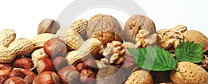 Assorted fresh nuts horizontal banner