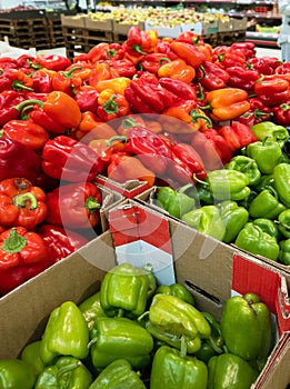 Assorted fresh raw sweet bell peppers in market