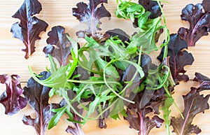 Assorted fresh rocket and Salad leaves