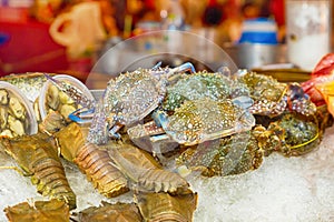 Assorted fresh seafood crab and shrimp fresh catch lies on ice