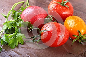Assorted fresh tomatoes with green leaves on wooden background