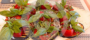 Assorted fresh vegetables on a plate