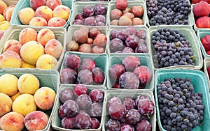 Assorted fruit at a Farmer`s Market Stall including, ripe peaches, purple plums, and grapes