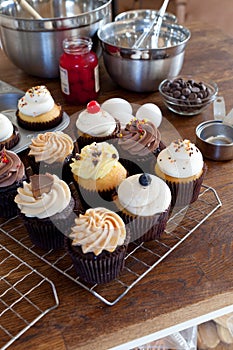 Assorted Gourmet Cupcakes