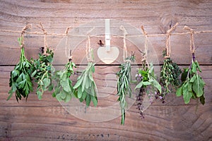 Assorted hanging herbs ,parsley ,oregano,mint,sage,rosemary,sweet basil,holy basil, and thyme for seasoning concept on rustic