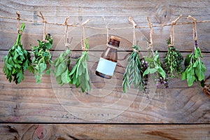 Assorted hanging herbs ,parsley ,oregano,mint,sage,rosemary,sweet basil,holy basil, and thyme for seasoning concept on rustic