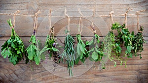 Assorted hanging herbs ,parsley ,oregano,mint,sage,rosemary,sweet basil,holy basil, and thyme for seasoning concept on rustic