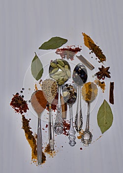 Assorted ingredients in silver spoons