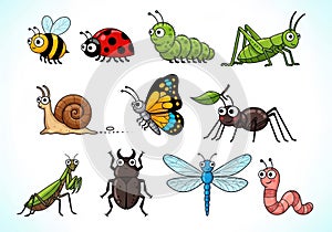 Assorted insects and bugs illustration
