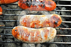 Assorted meat from chicken and pork and various vegetables