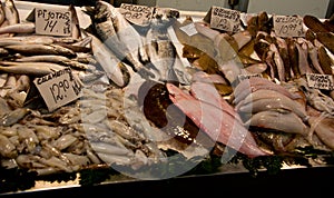 Assorted mediterannean fish with price tags at fishmonger`s market stall