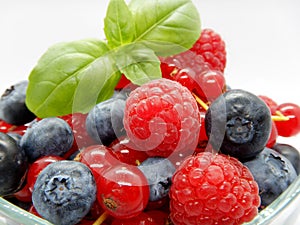 Berries in bowl, assorted mix of fruits, raspberry, red currant, blueberry against a white background
