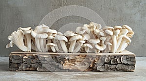 Assorted Mushrooms on Wooden Cutting Board