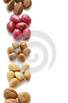 Assorted nuts background