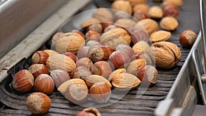 Assorted Nuts on Conveyor Belt in Food Processing Plant â AI Generated Content