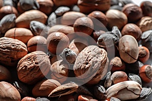 Assorted nuts. Different types of macadamia nuts, walnuts and hazelnuts lie in an even layer. Background of nuts