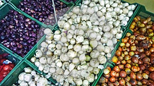 assorted onions crop in market