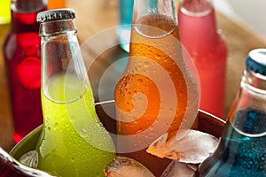 Assorted Organic Craft Sodas photo
