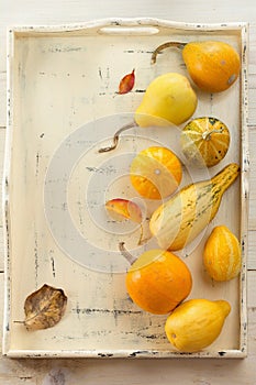 Assorted ornamental gourds