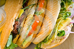 Assorted panini sandwich