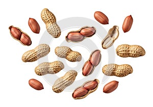 Assorted peanuts in shells and shell-less displayed on white background