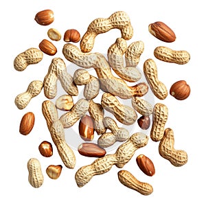Assorted peanuts and walnuts with shells on white background