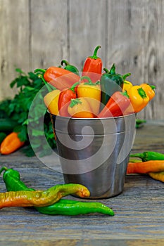 assorted peppers and chilies in a metal bucket with water droplets Vertical format