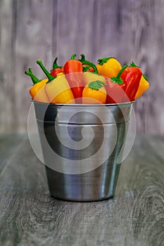 assorted peppers and chilies in a metal bucket with water droplets Vertical format