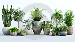 Assorted Potted Indoor Plants on a Clean Background. Lush Greenery in Contemporary Styling. Eco-Friendly and Natural photo