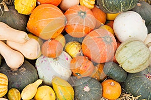 Assorted pumpkins