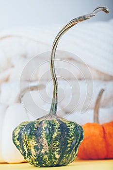 Assorted pumpkins and a pile of white woolen clothes on the grey and yellow drop