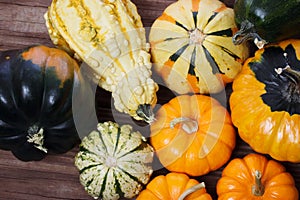 Assorted pumpkins and squashes