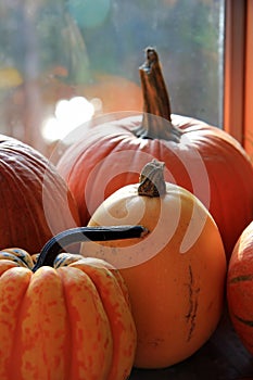 Assorted Pumpkins in Windowsill