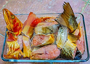 Assorted Raw Fish Pieces Ready for Cooking